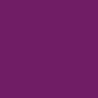 487 - Purple
